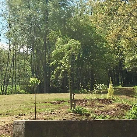 Le Moulin De Lassalle Curemonte Eksteriør bilde