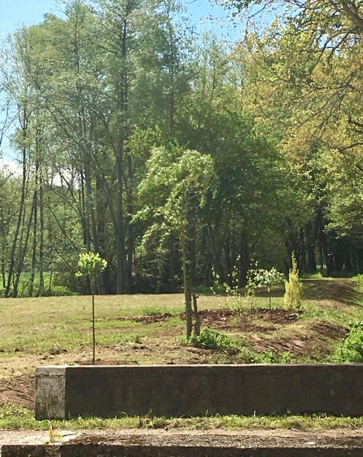 Le Moulin De Lassalle Curemonte Eksteriør bilde